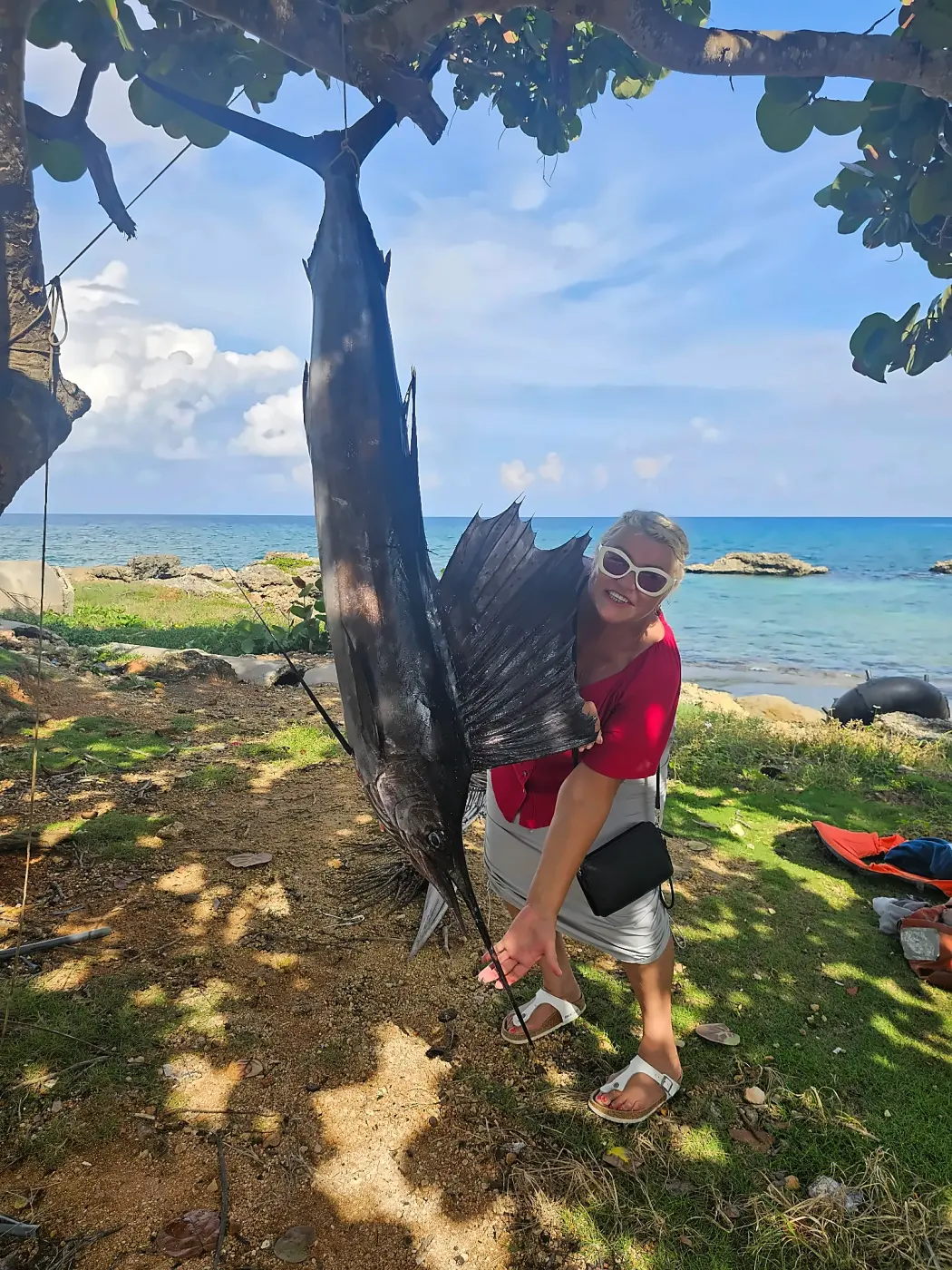 A sailfish hanging from a tree by the sea