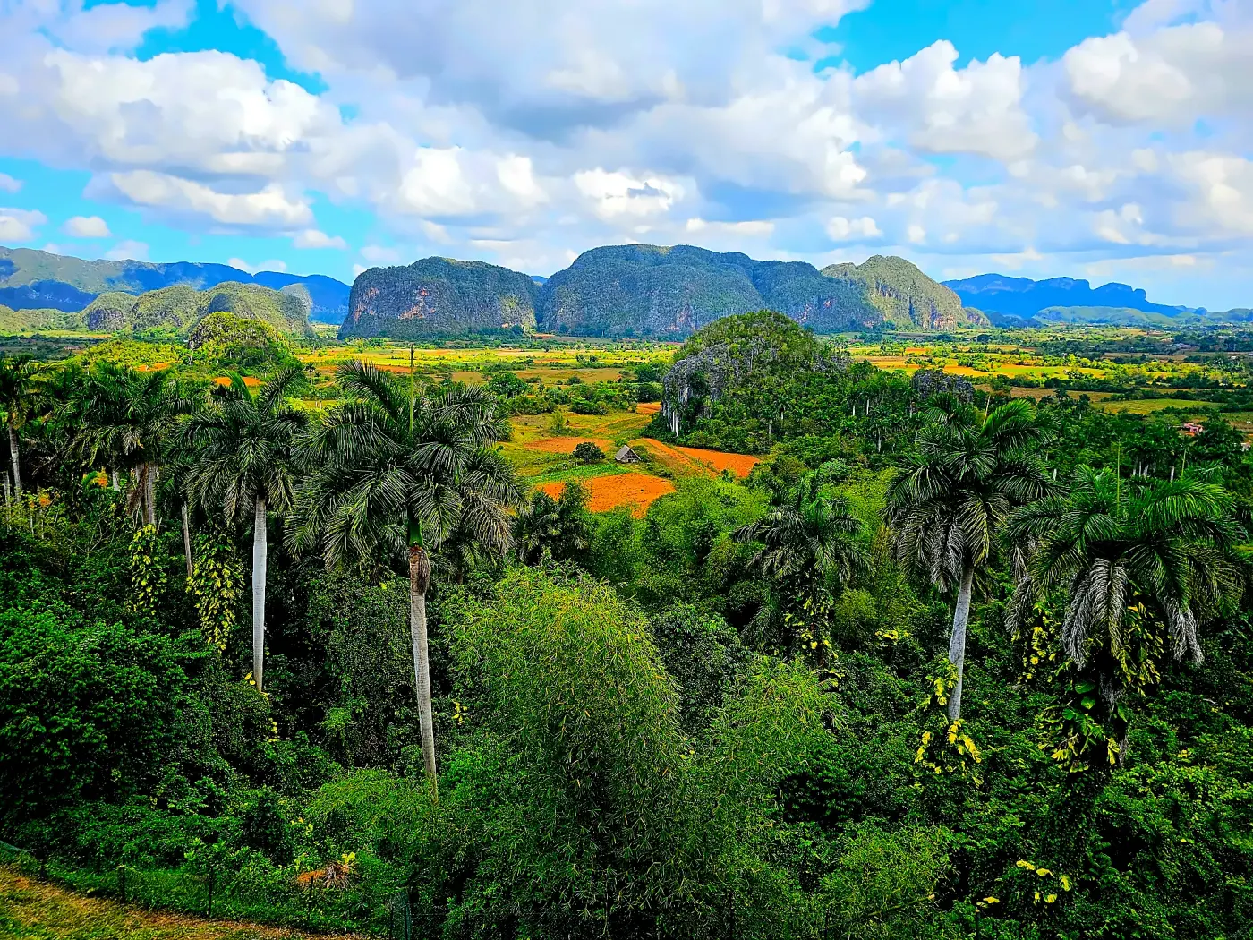 The Viñales valley from the mirador, with the mogotes behind